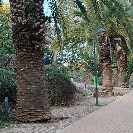 Beachfront *